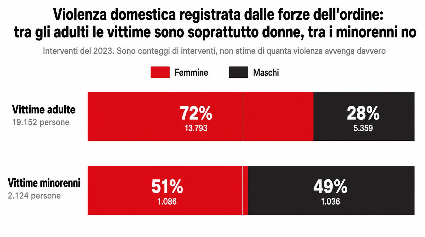 Due barre orizzontali al 100%: tra le 19.152 vittime adulte di violenza domestica registrate nel 2023 il 72% sono femmine, mentre tra le 2.124 vittime minorenni la ripartizione è 51% femmine e 49% maschi.